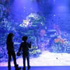 Atlantis Xanadú